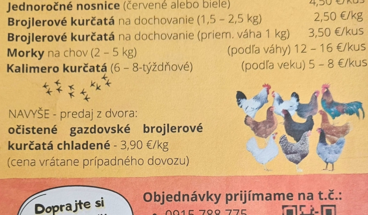 Aktuality / Predaj živej hydiny - foto